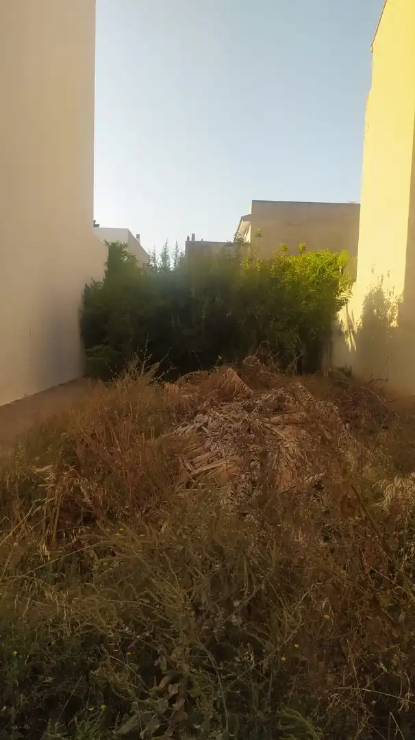 Terrain résidentiel à vendre à Centro, imagen 2