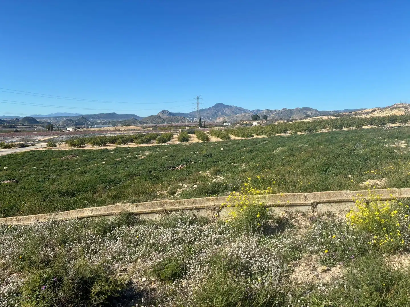 Casa o xalet en venda en Molina de Segura