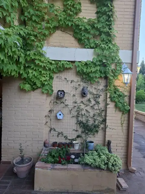 Vista exterior de Casa o chalet en venta en Córdoba con Aire acondicionado, Calefacción y Jardín privado