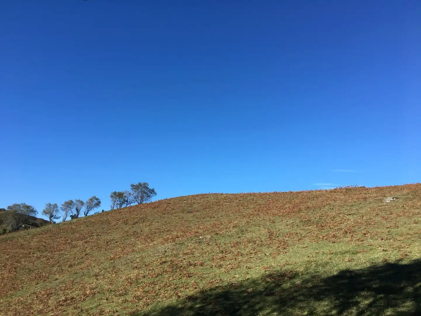 Terreno rustico in vendita a Cangas de Onís, imagen 7