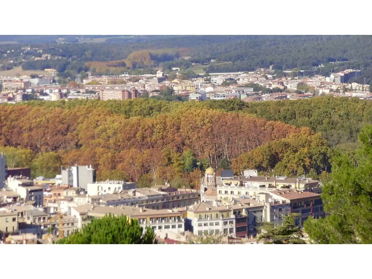 Terrain rustique à vendre à Calle passeig olot, imagen 5