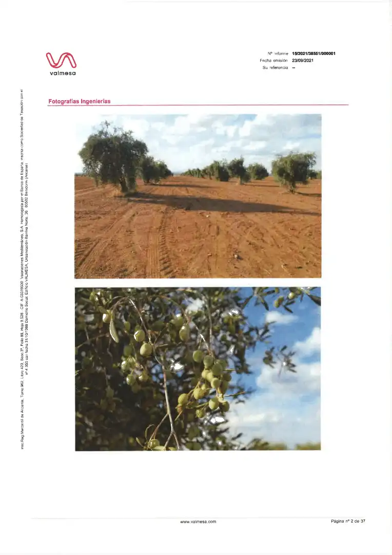 Terreni e lotti in vendita a Pedanías de Badajoz, imagen 15