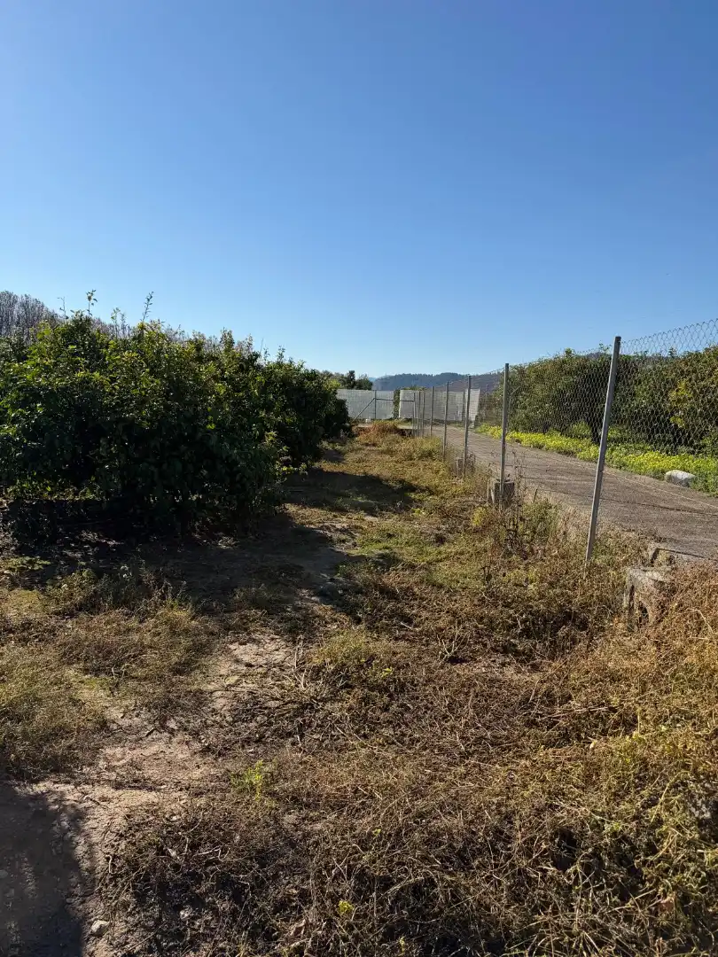 Terreno en venta en Piles