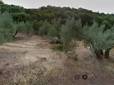 Rustikales Grundstück zum Verkauf in Martos