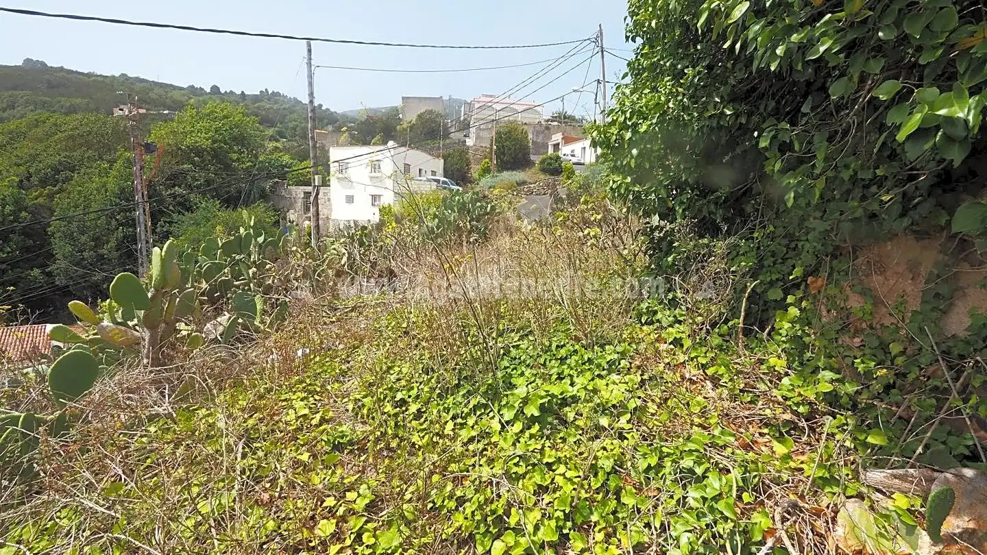 Casa amb jardí en venda a La Vega - El Amparo - Cueva del Viento, imagen 17