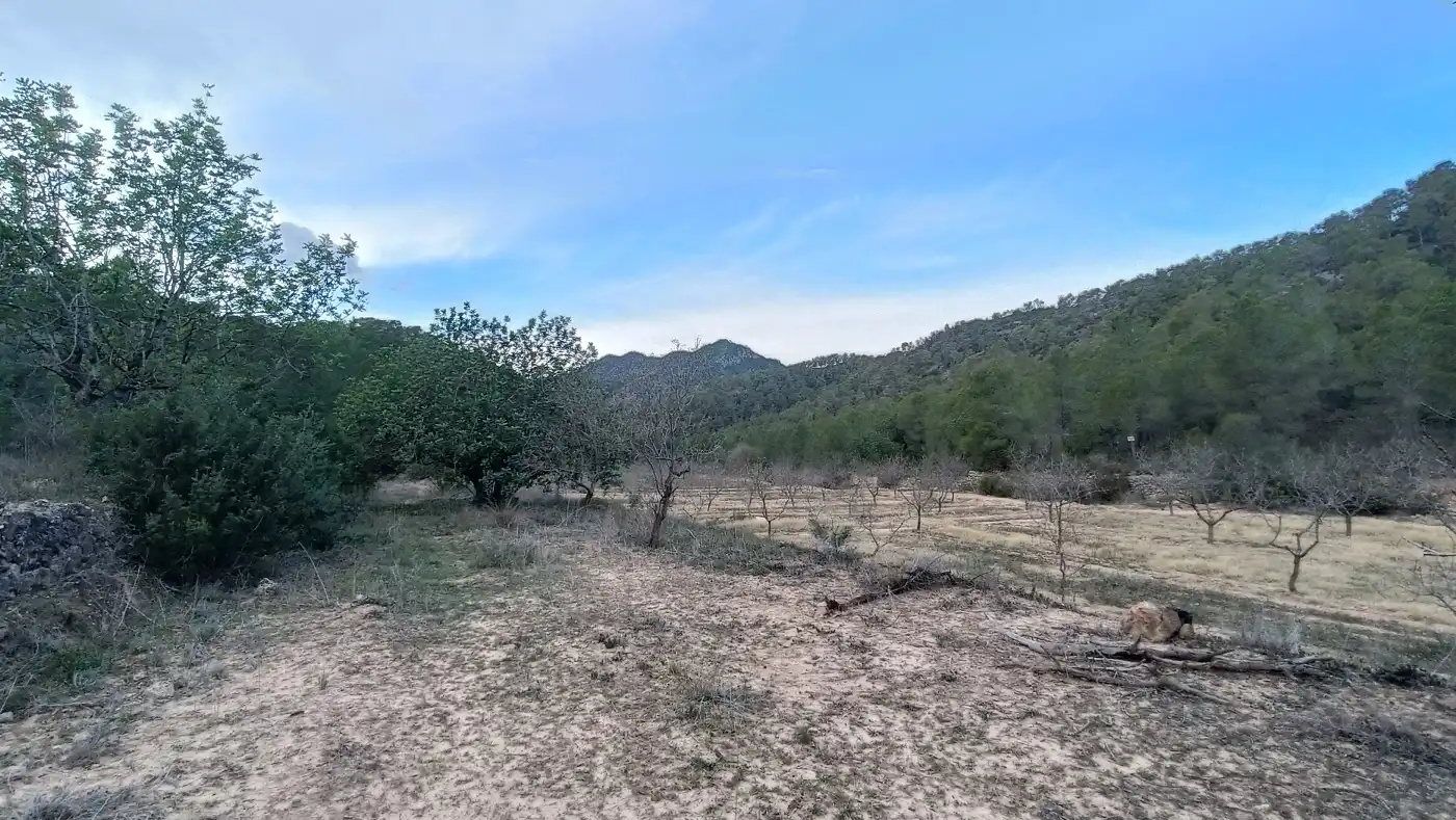 Terreny rústic en venda a Miravet, imagen 18