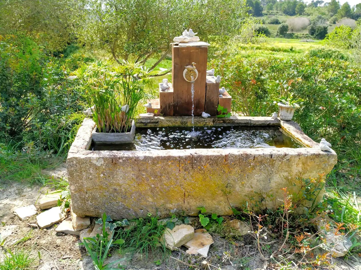Garten von Country house zum Verkauf in Muro mit Klimaanlage, Heizung und Privatgarten