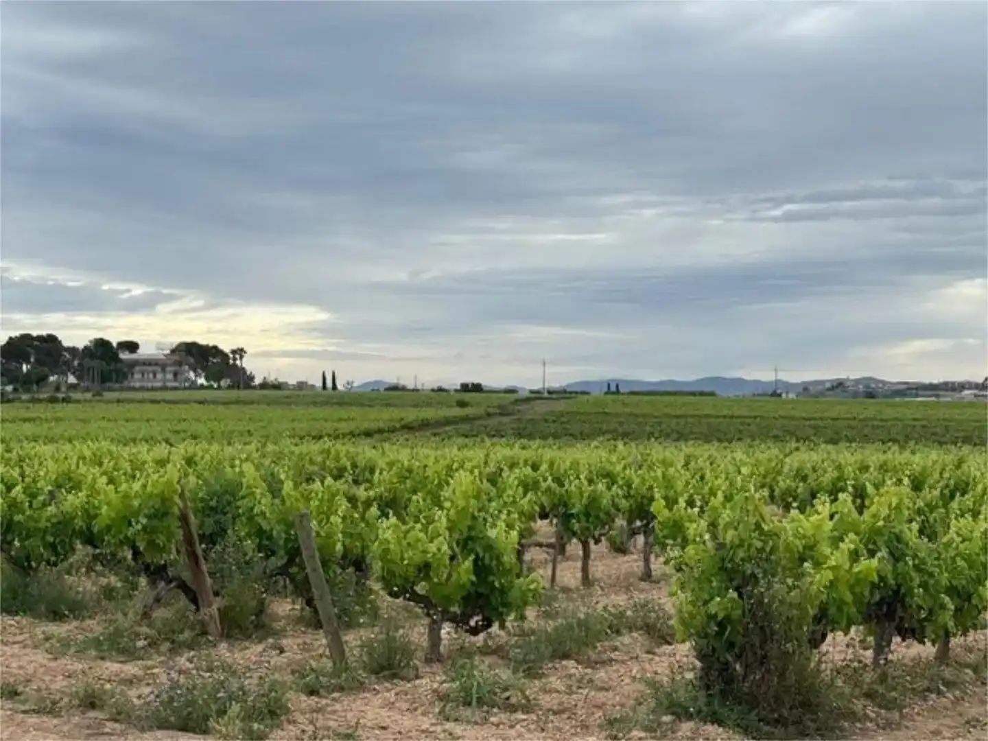 Residencial en venta en Santa Margarida I Els Monjos