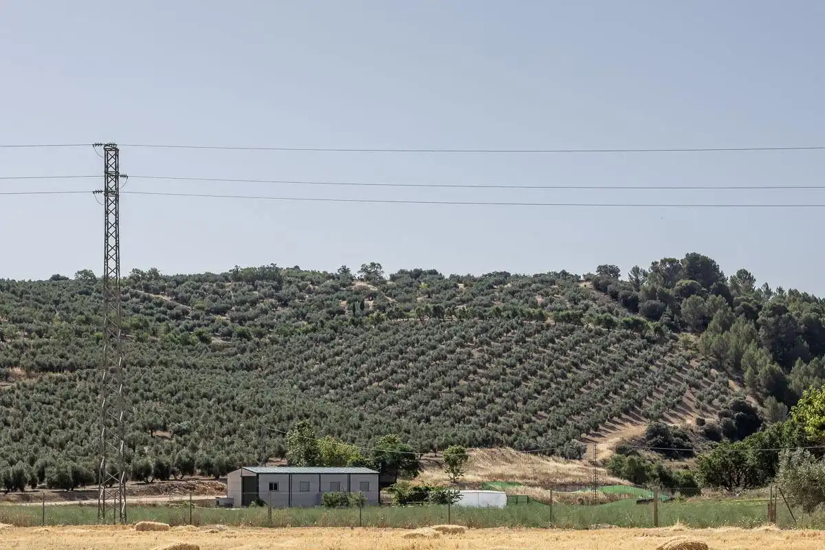 Terreno rustico in vendita a Montefrío, imagen 16