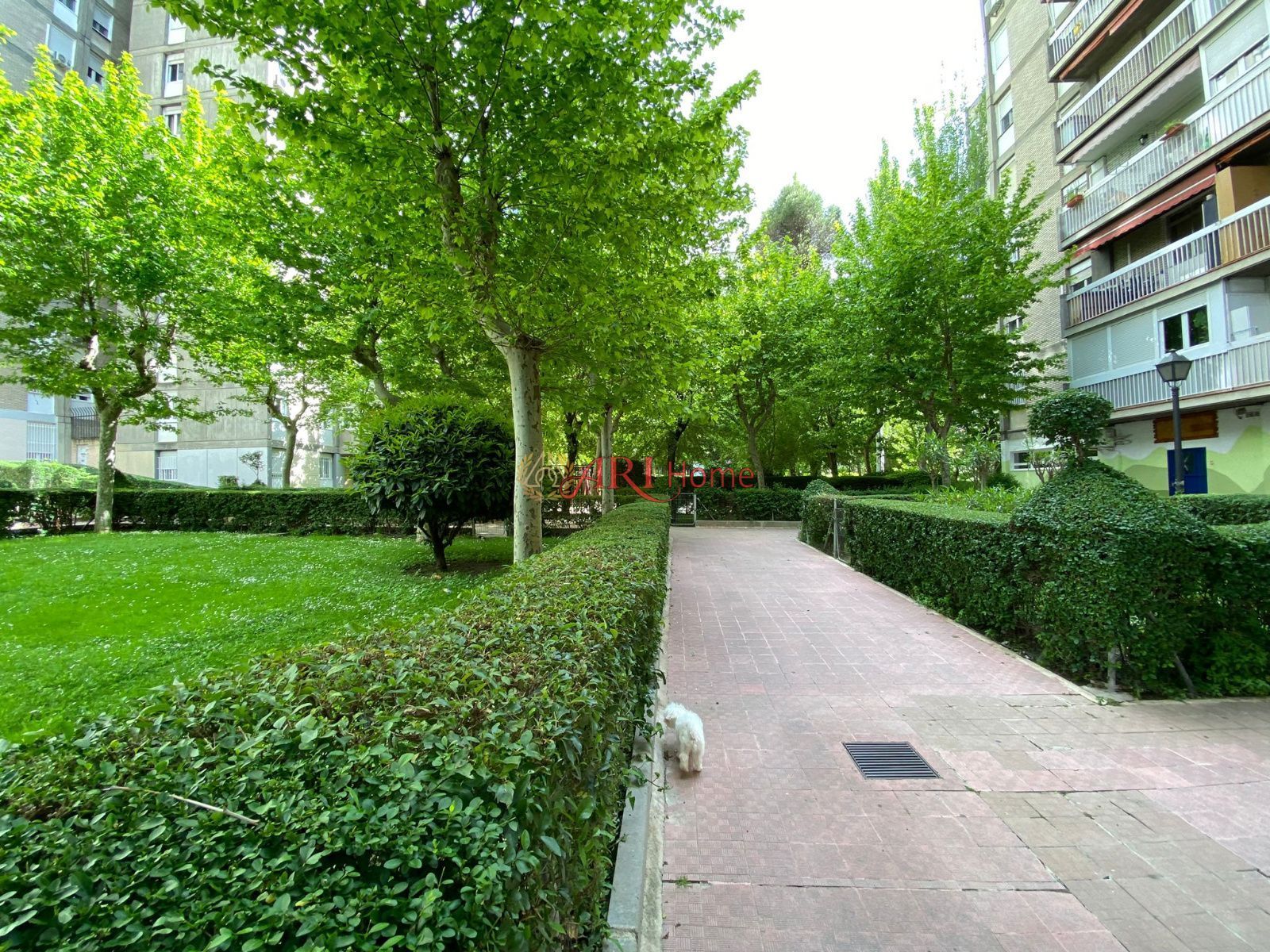 Vista exterior de Dúplex en venda en  Madrid Capital amb Aire condicionat