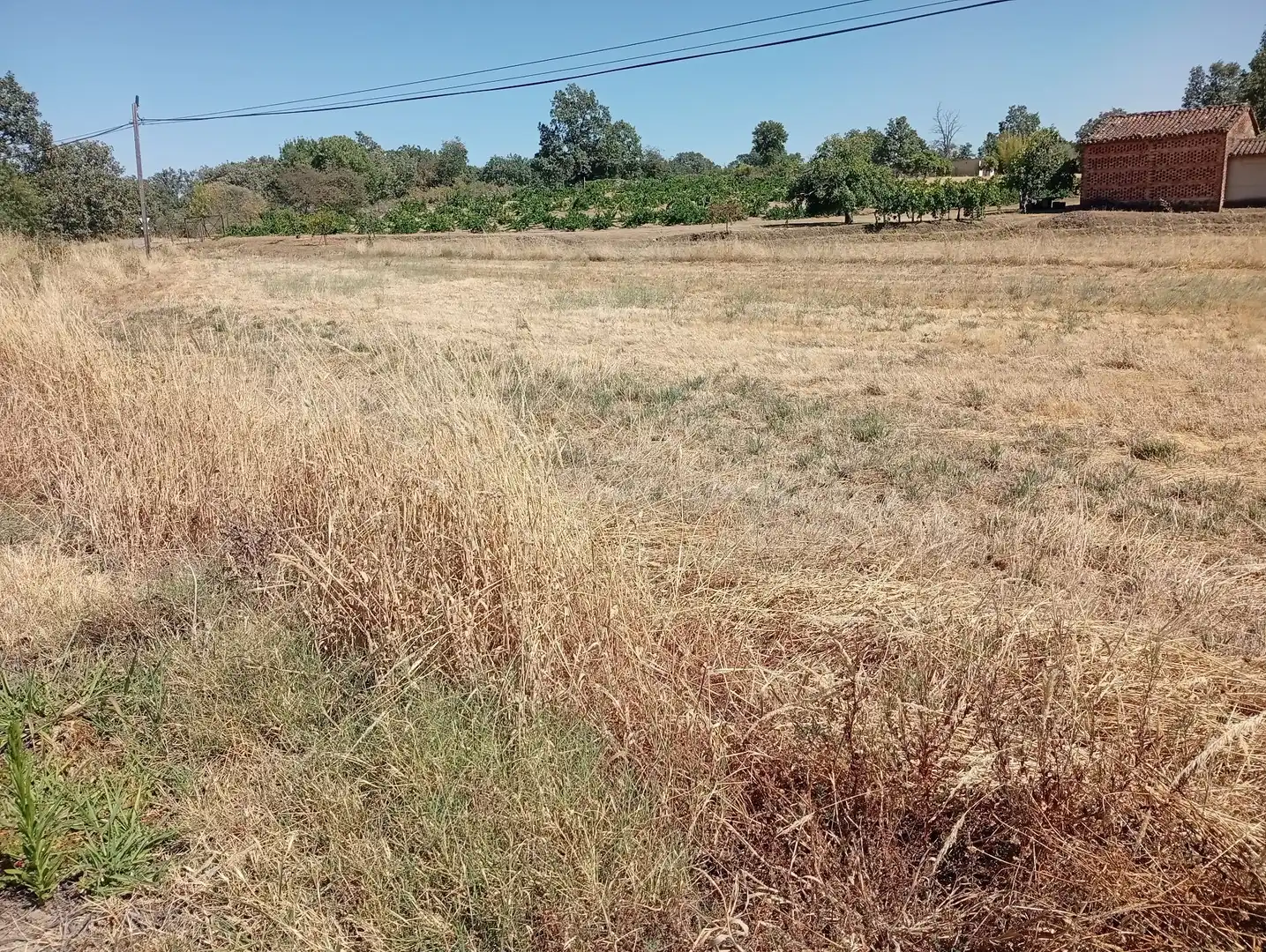Terreni e lotti in vendita a Villanueva de la Vera, imagen 34
