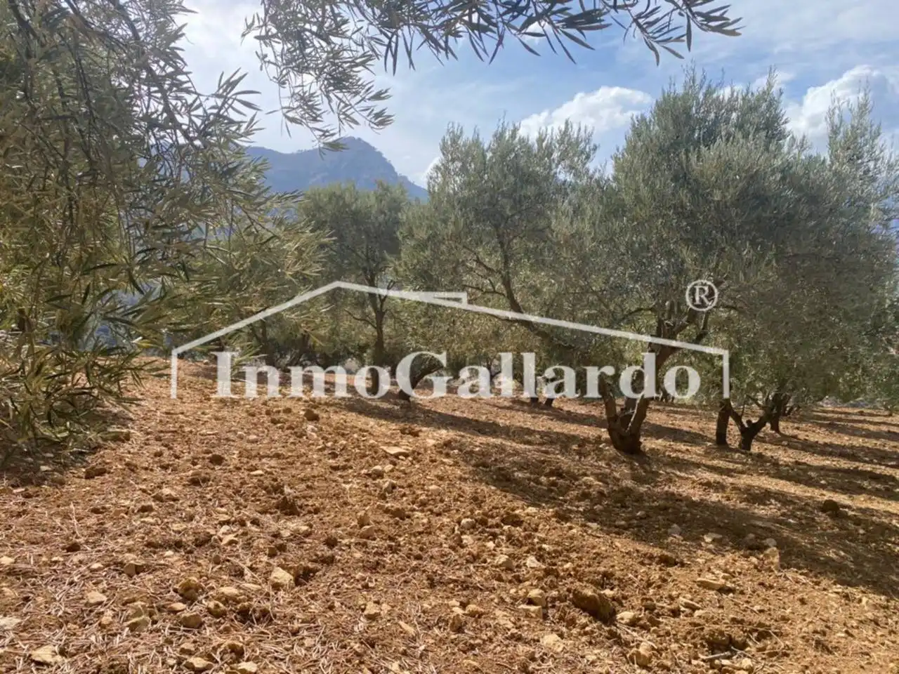 Terreni e lotti in vendita a Casarabonela, imagen 10
