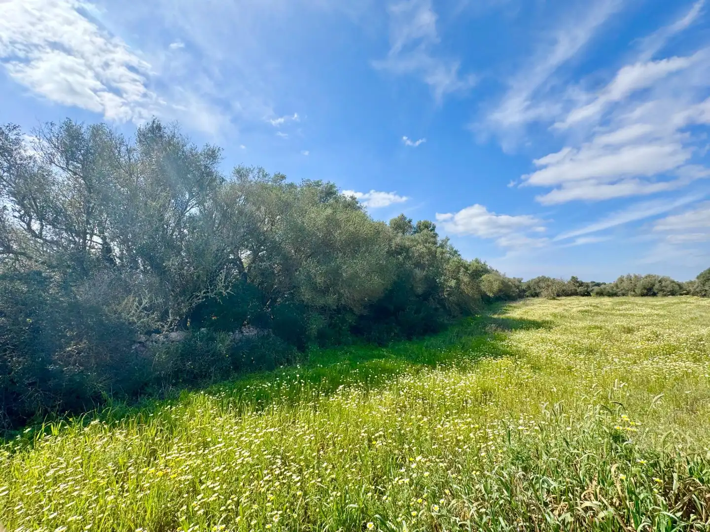 Residential land for sale in parcela 27 del polígono 22. Campos
