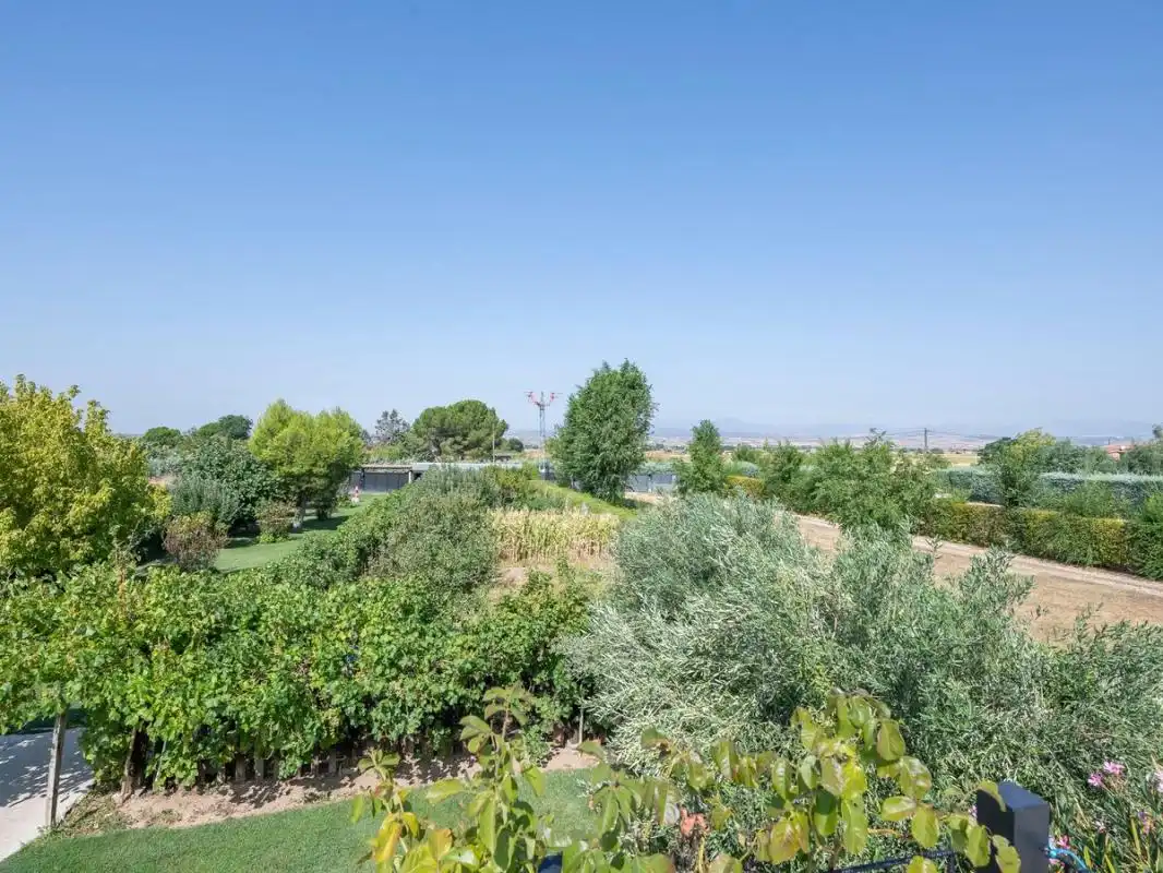 Xalet amb terrassa en venda a Cam. Viejo del Casar, imagen 17