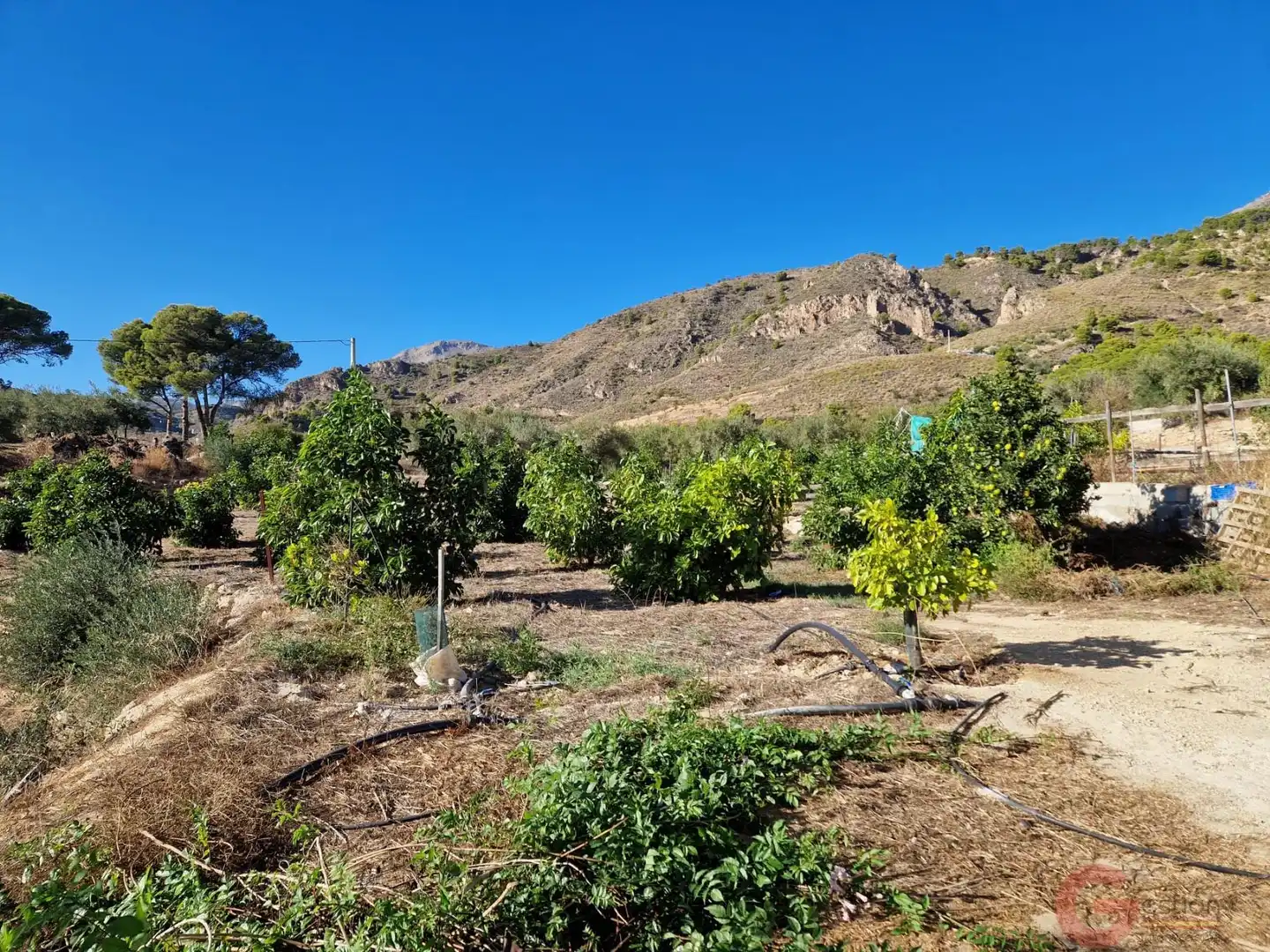 Casa rústica con piscina en venta en Los Guájares, imagen 25