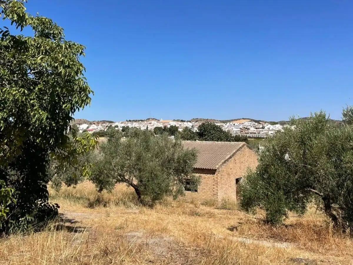 Terreno en venta en Almargen