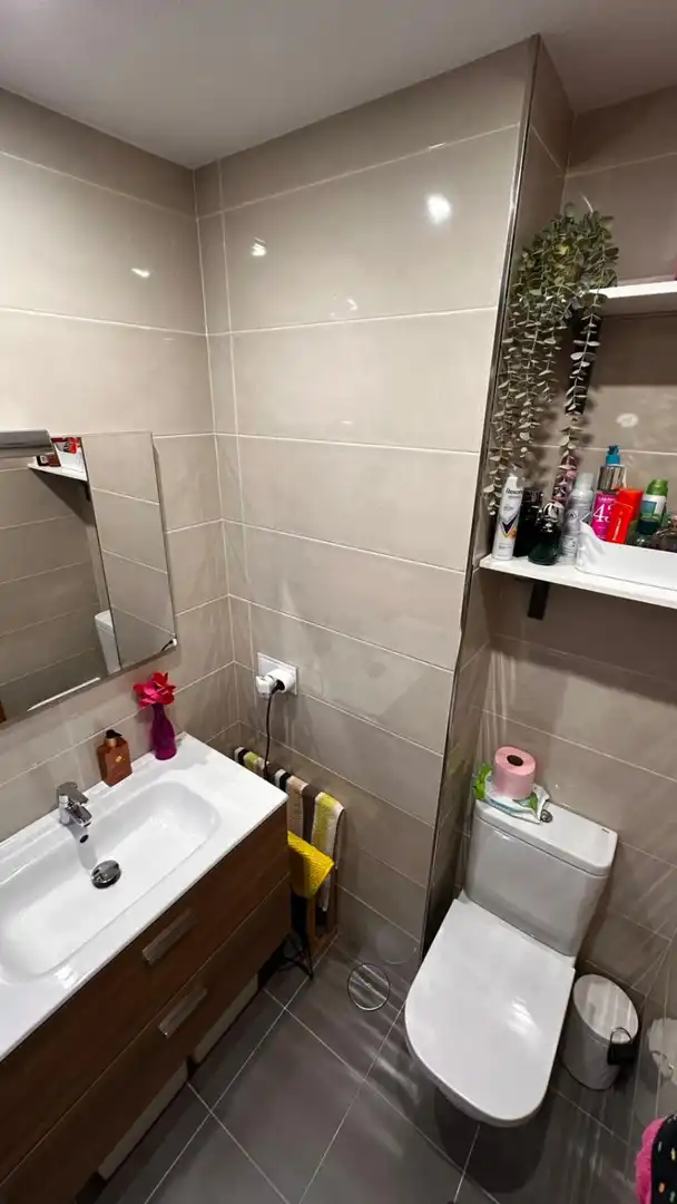 Flat for sale in Mesoiro