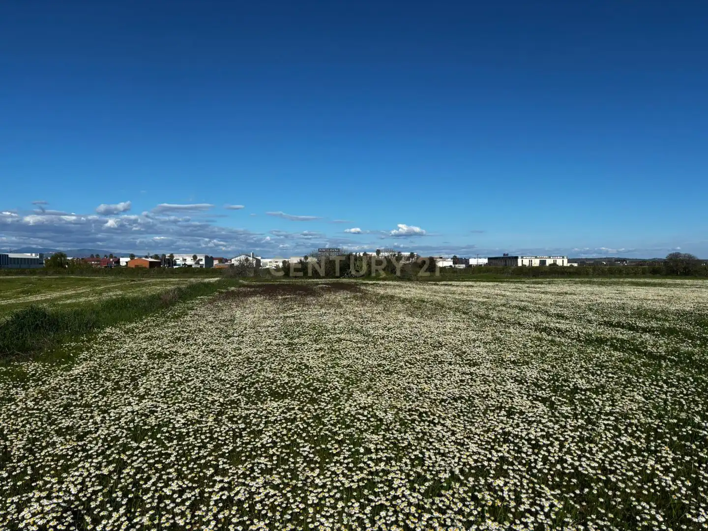 Grundstücke zum Verkauf in Moraleja