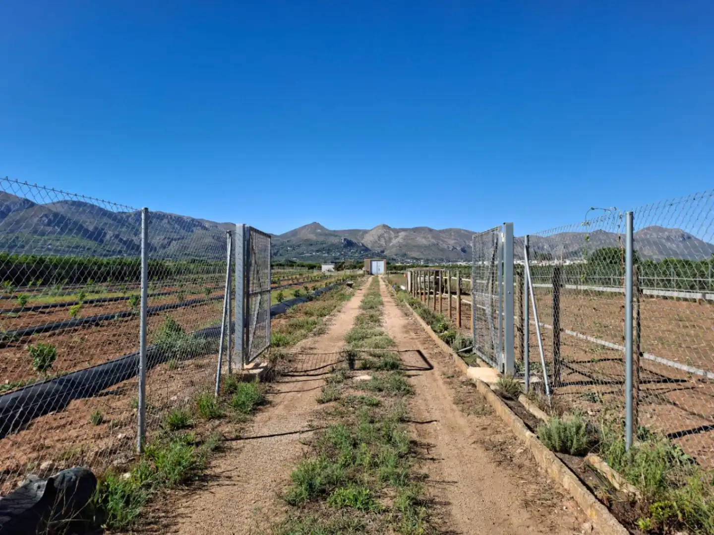 Terreny residencial en venda a Pego