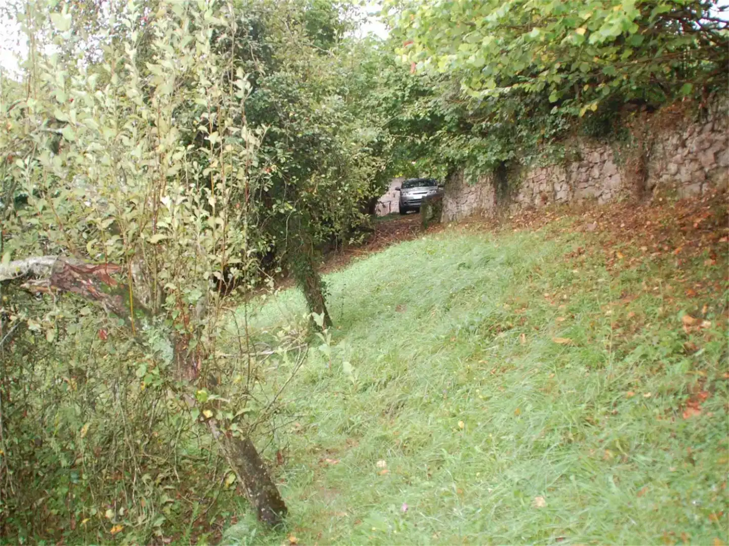Finca rústica en venda en Cabrales