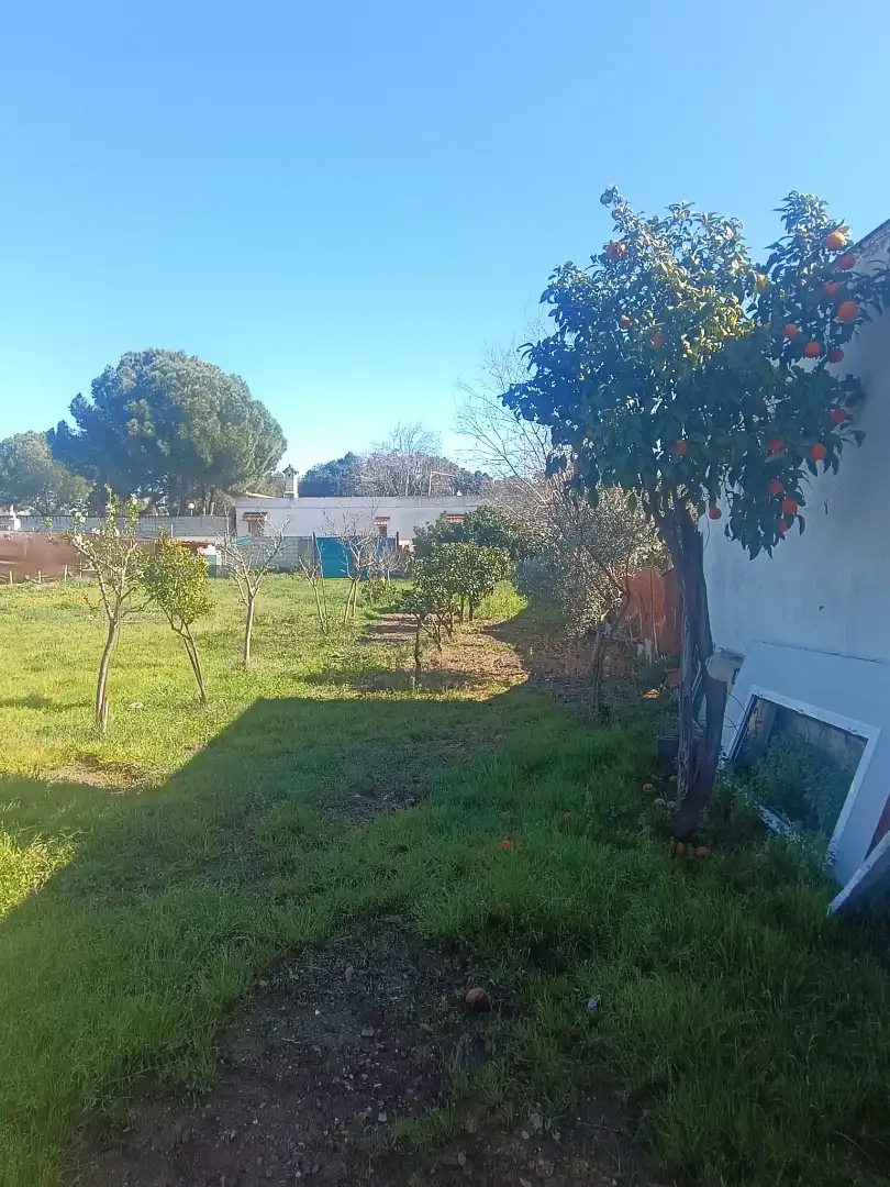 Terreni e lotti in vendita a Castilblanco de los Arroyos, imagen 14