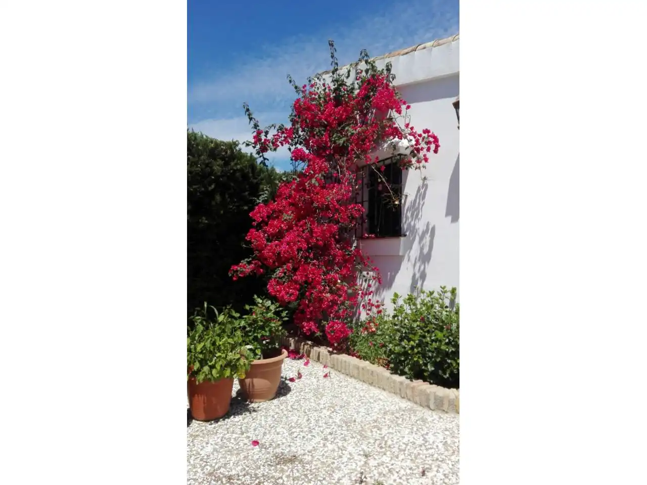 Casa con piscina en venta en Calle Alcalá, imagen 18