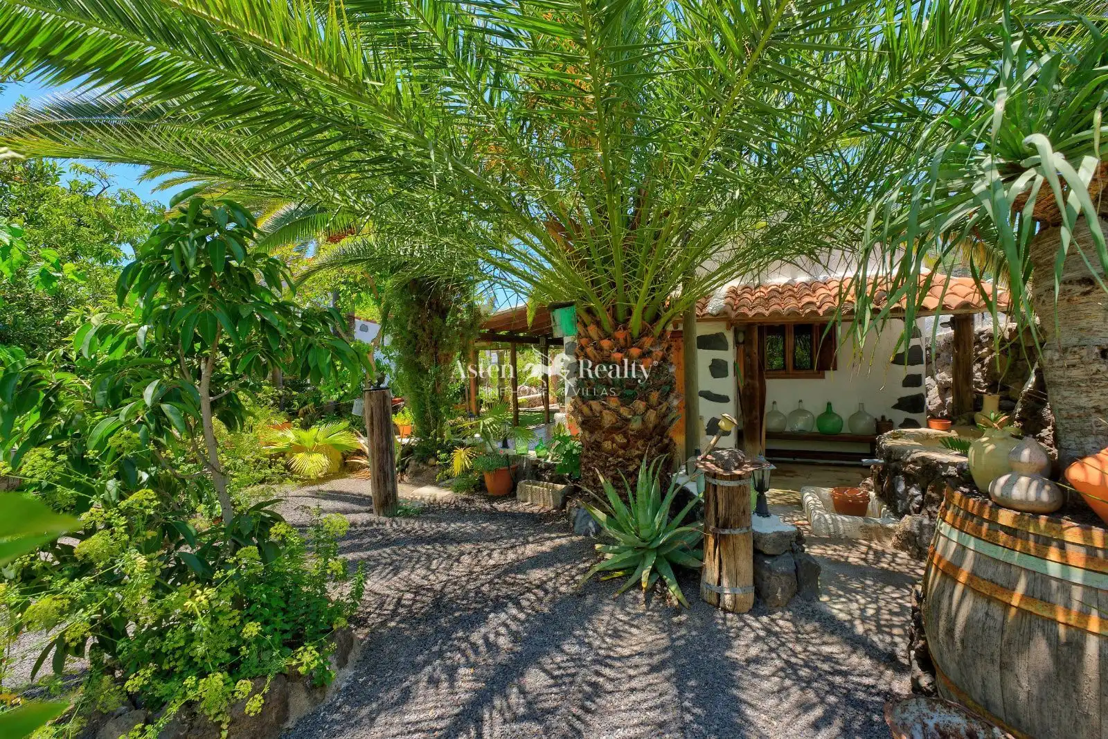 Garden of Houses for sale in Guía de Isora  with Air Conditioner, Private garden and Terrace