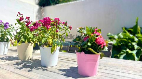 Foto 5 de Casa adosada en venda a Piverd - Vila-Seca - Bruguerol, Palafrugell