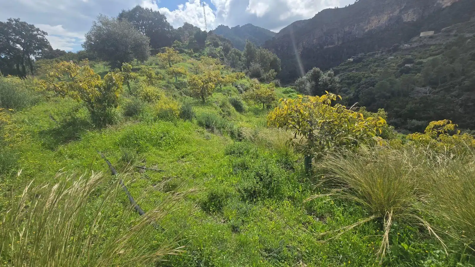 Terreno rustico in vendita a Polígono 11 Parcela 110 EL CERRILLAR. LOS GUAJARES (GRANADA)