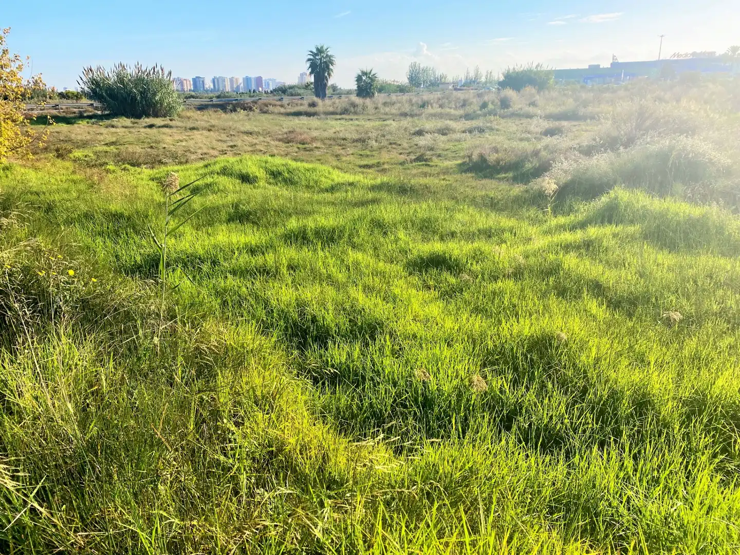 Terreno rustico in vendita a Carrer Estació 3, imagen 5