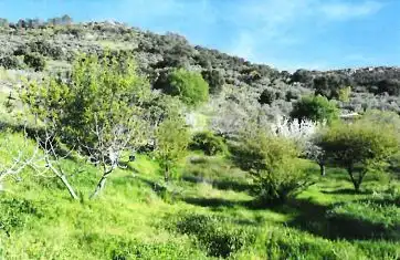 Casa o chalet en venta en Herrera del Duque con Trastero y Piscina