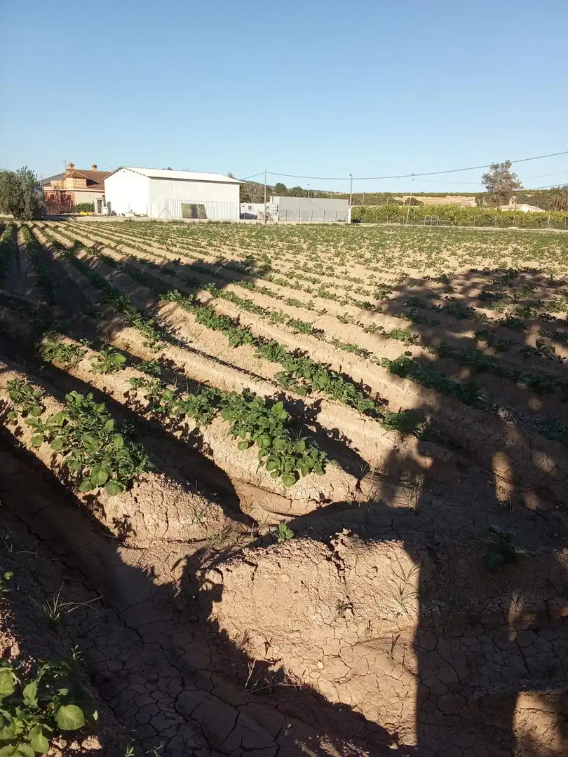 Casa rústica en venda a Desamparados - Hurchillo - Torremendo, imagen 14