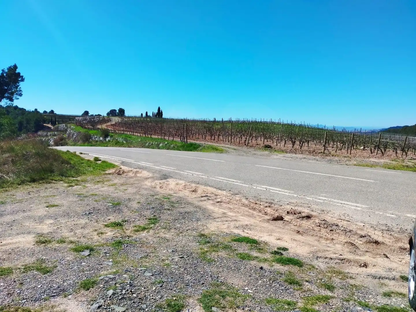 Terreno en venta en La Morera de Montsant