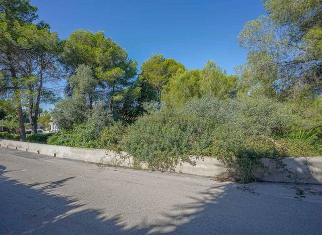 Terreno residencial en Venta en Paichi