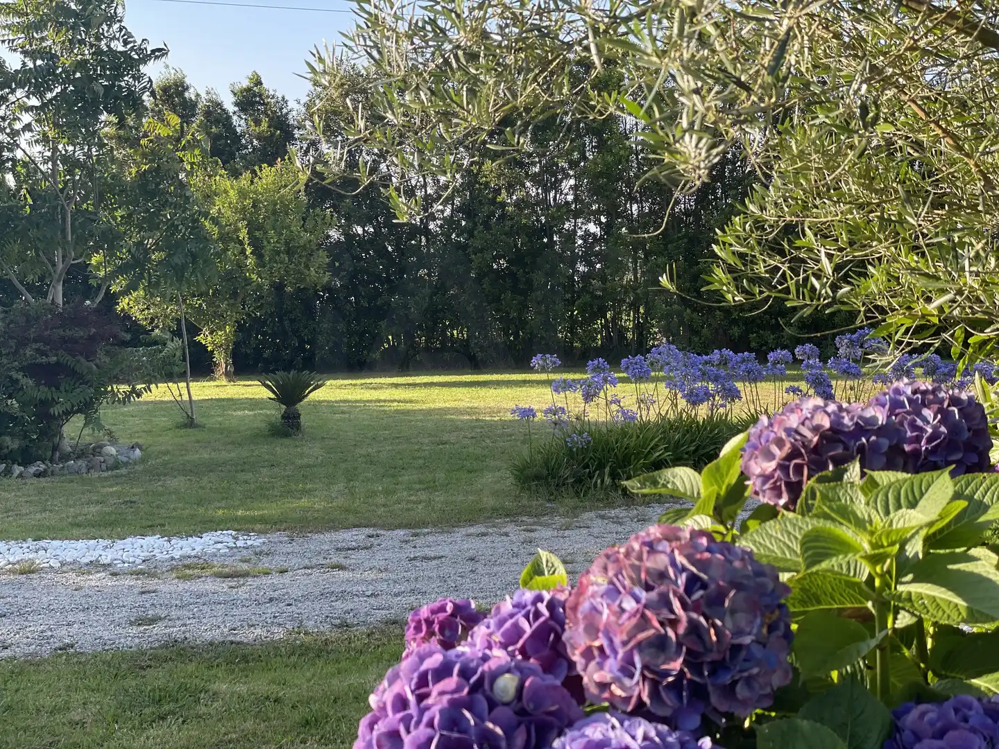 Jardí de Casa o xalet en venda en Cudillero amb Calefacció i Terrassa