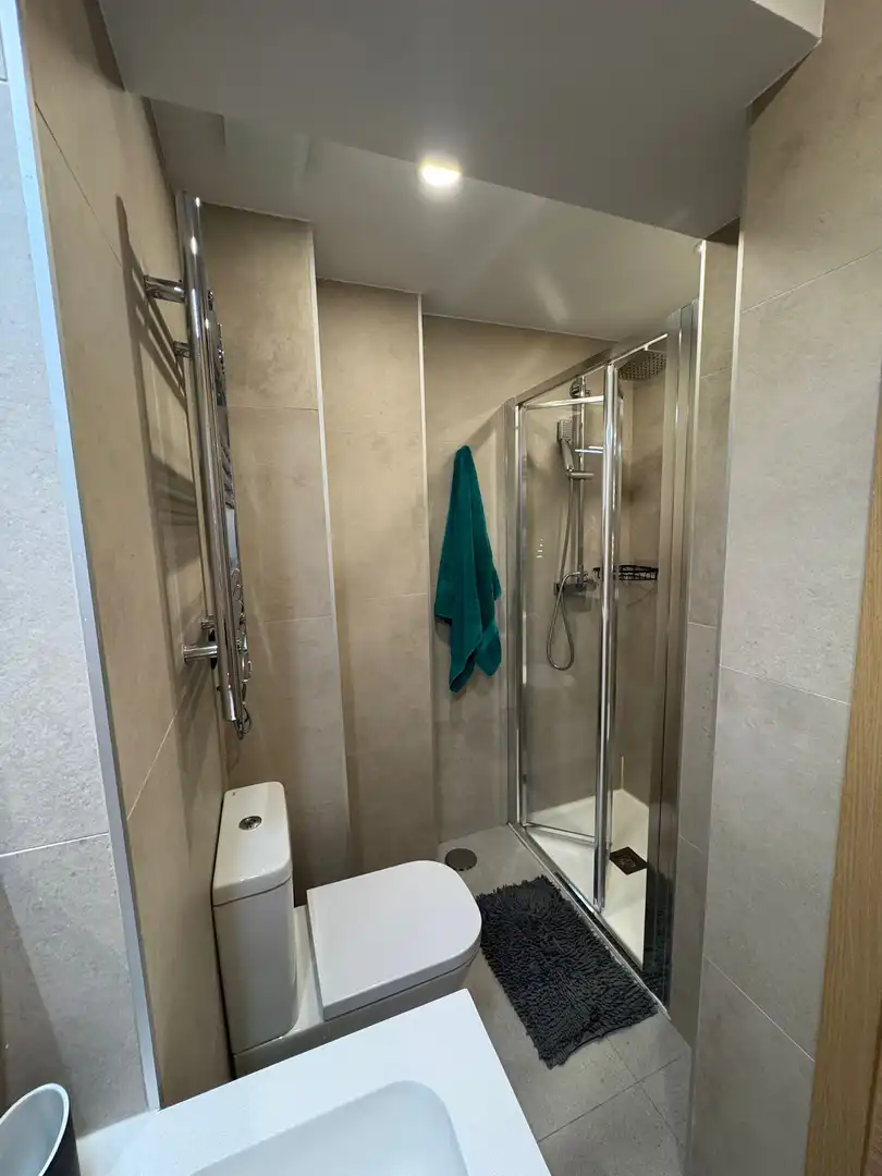 Bathroom of Flat for rent in Madrid  with Private garden, Terrace and Furnished