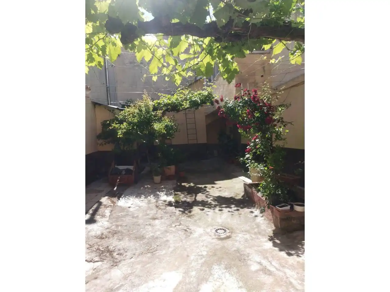 Jardín de Terreno en venta en Daimiel