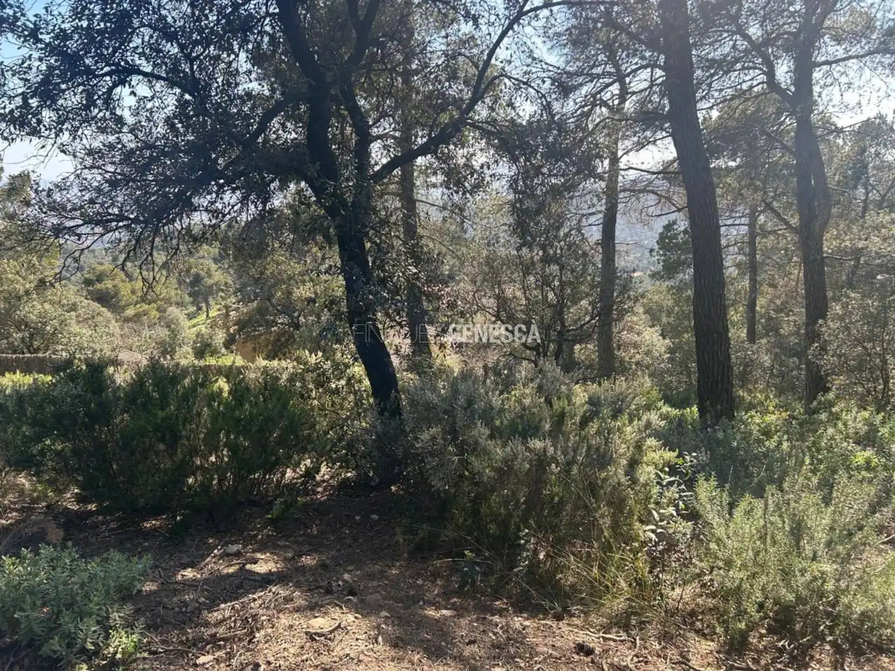 Wohnbaugrundstück zum Verkauf in Calle Camí del Moliner 59, imagen 14