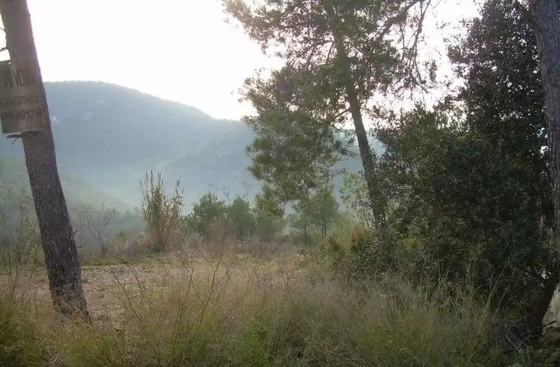 Terreny residencial en venda a Avinyonet del Penedès, imagen 6