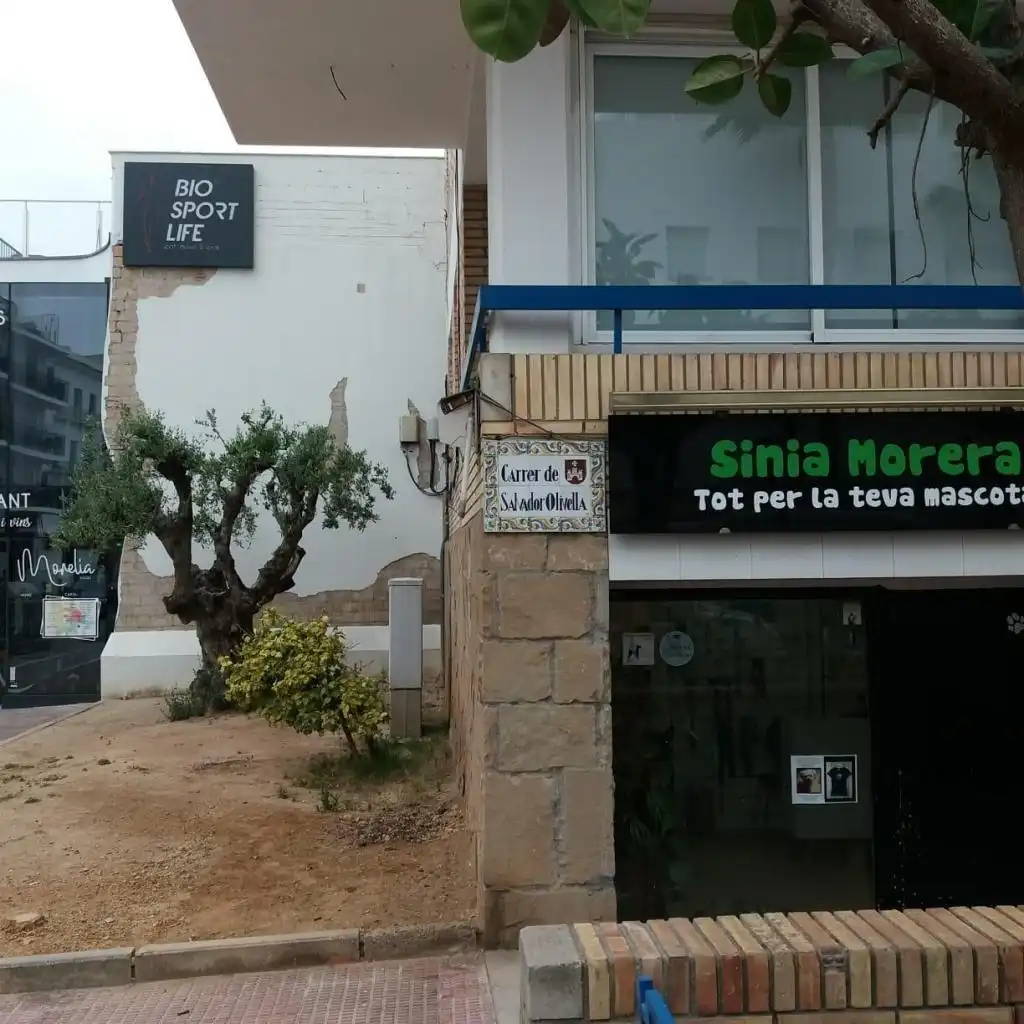 Local comercial en venda a SALVADOR OLIVELLA, imagen 3