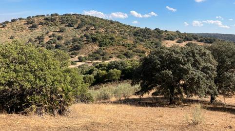Foto 4 de Casa o xalet en venda a N/a, -1, La Puebla de Cazalla, Sevilla