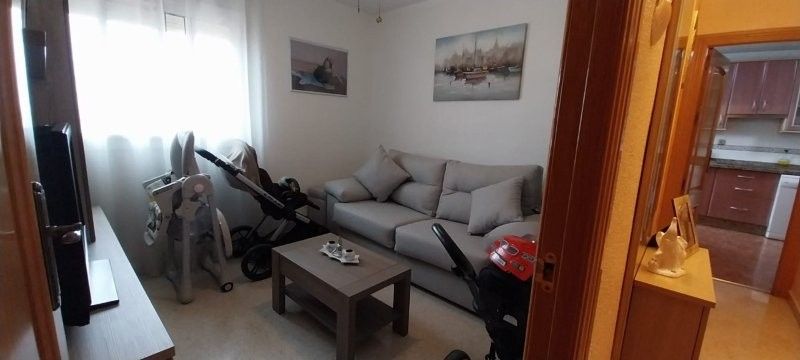 Living room of Flat for sale in Málaga Capital  with Private garden, Terrace and Alarm