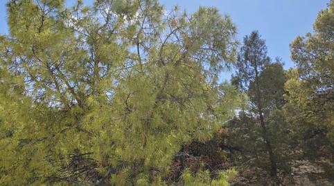 Foto 3 de Pis en venda a Villafranqueza, Alicante