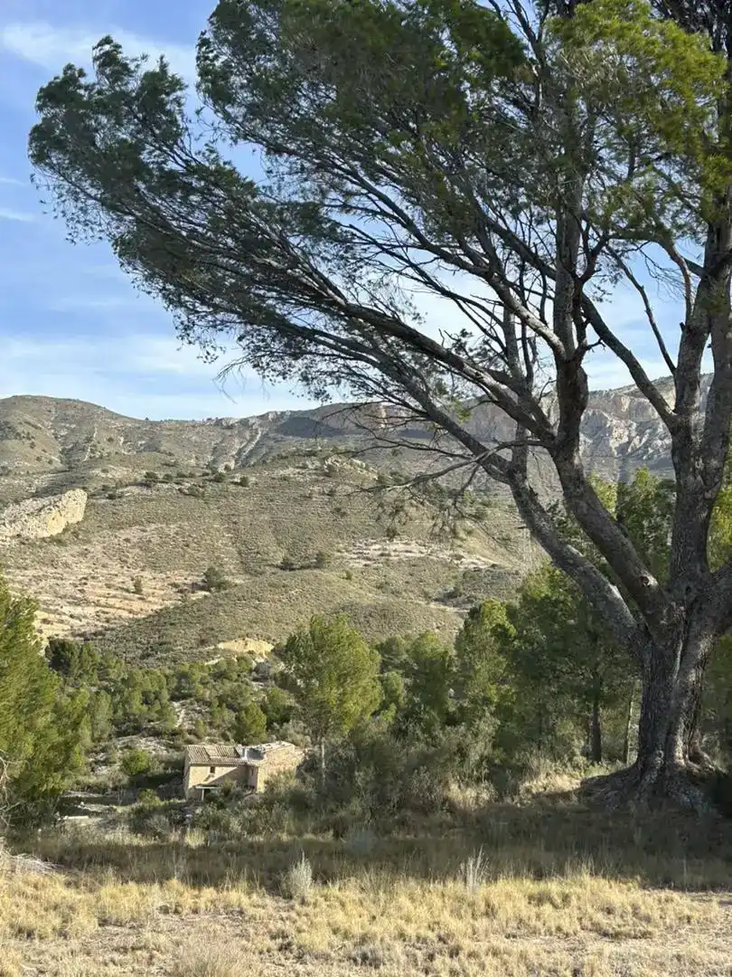 Finca rústica en venda en Tibi