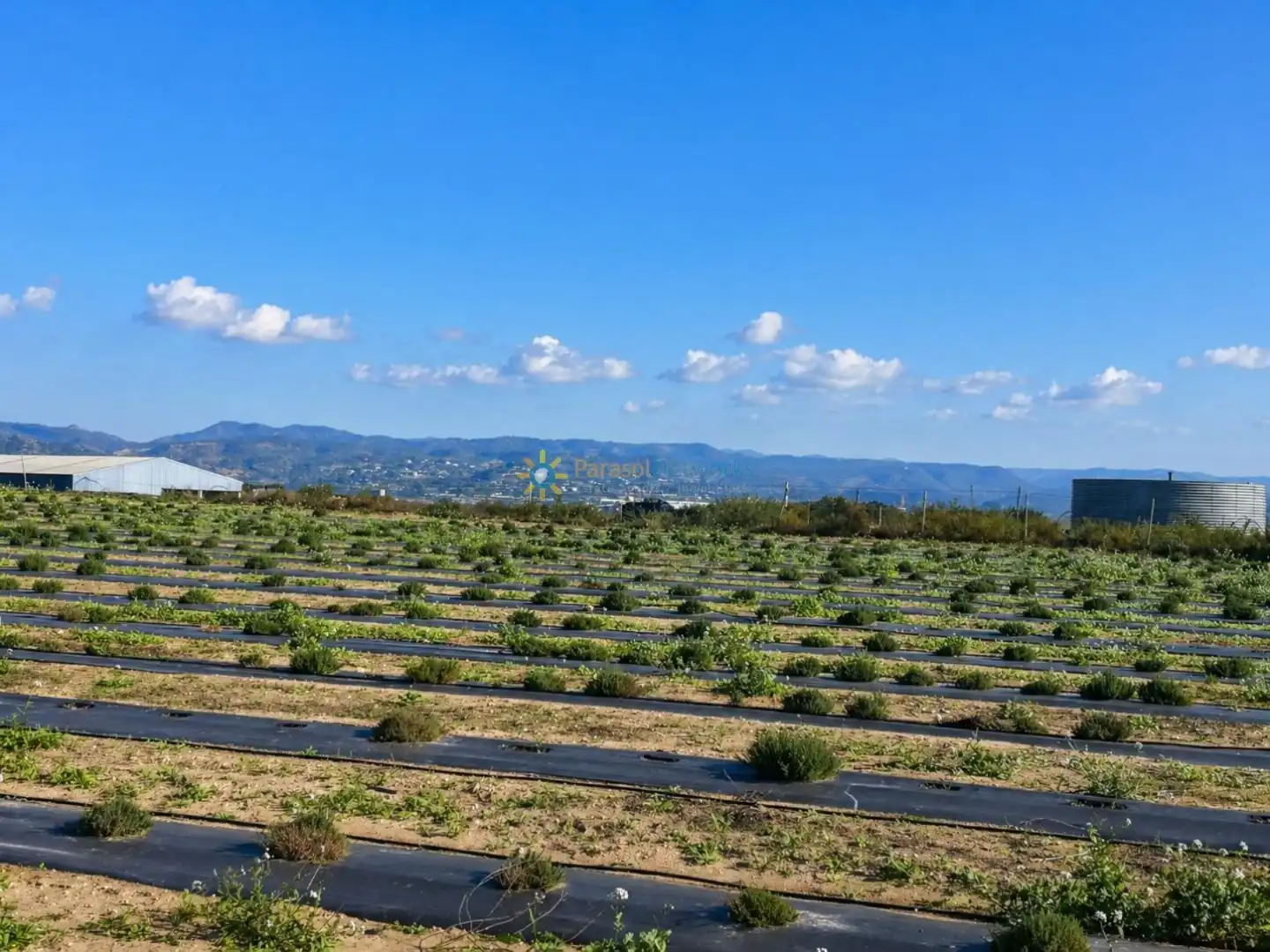 Finca rústica en venda en Benigànim amb Terrassa i Traster