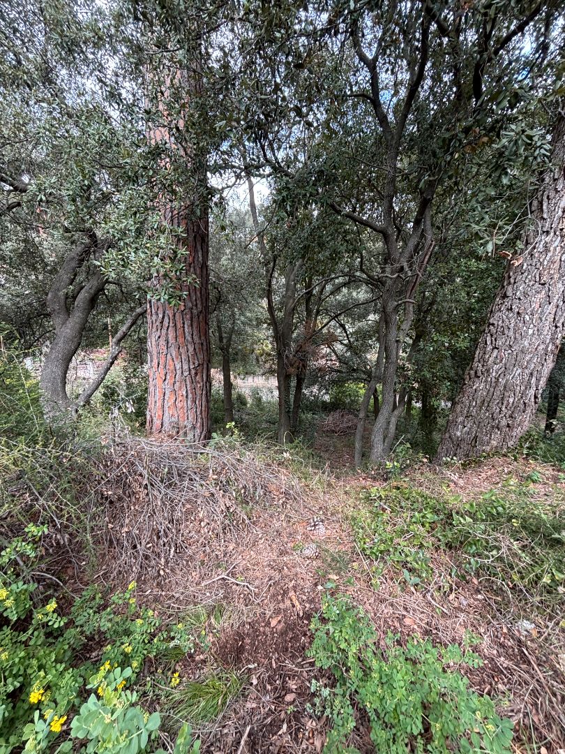 Residential for sale in Castellar del Vallès