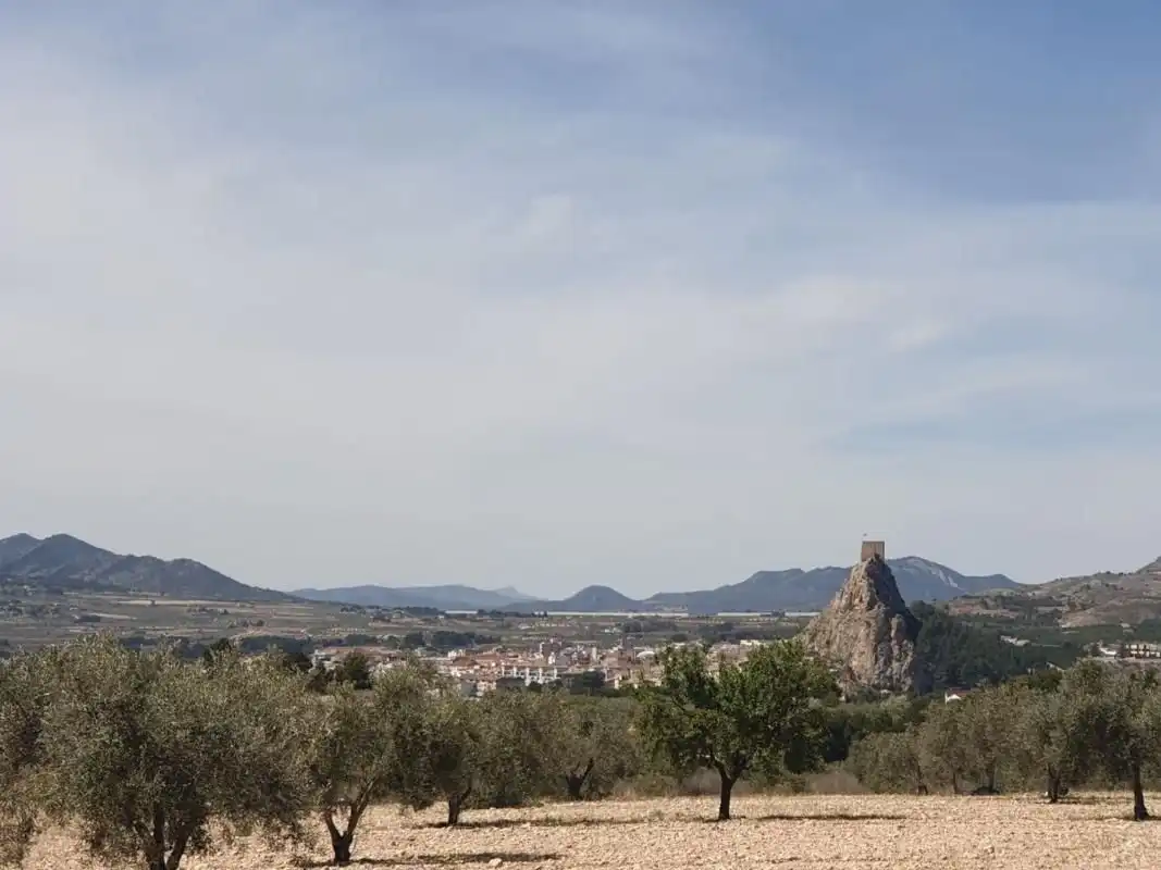 Residential land for sale in Sax, imagen 5