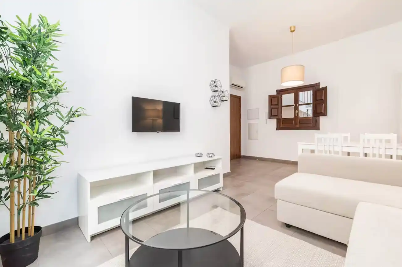 Sala d'estar de Apartament de lloguer en Granada amb Aire condicionat, Calefacció i Parquet