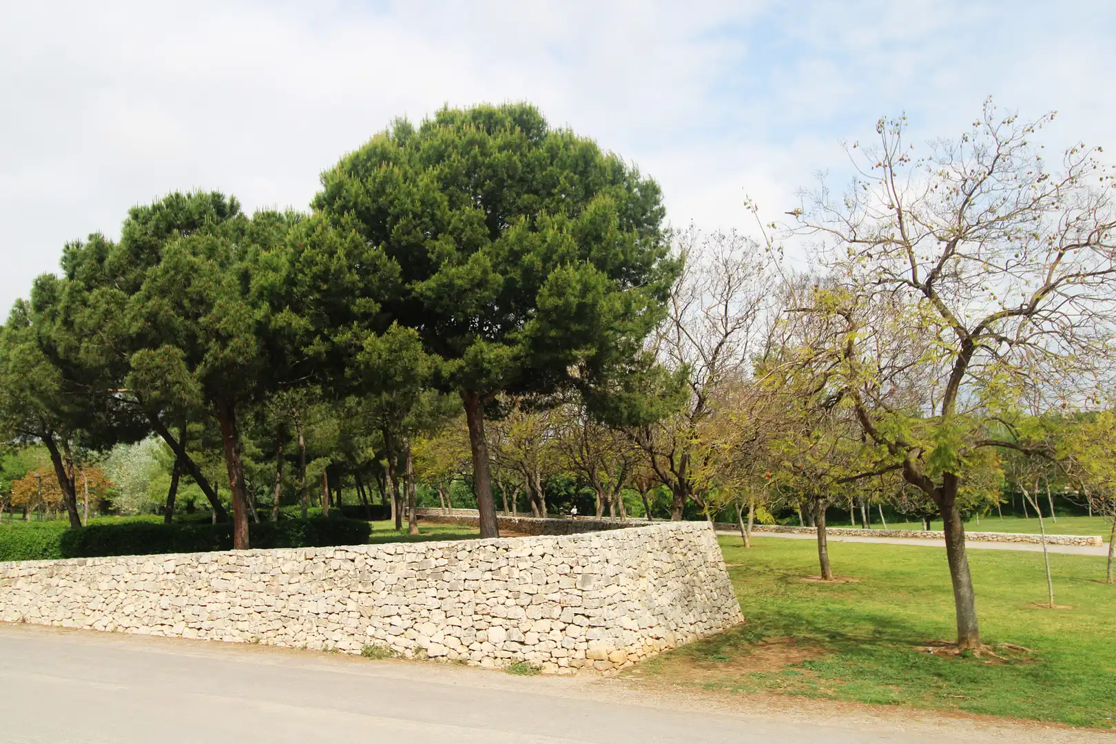 Apartament de lloguer en Valencia amb Parquet, Moblat i Forn