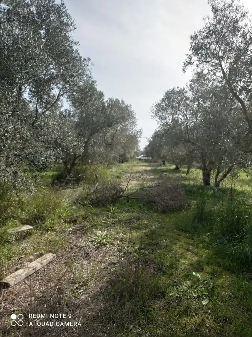 Terreno rustico in vendita a Tarifa ciudad